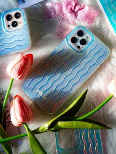 Rainbow Case